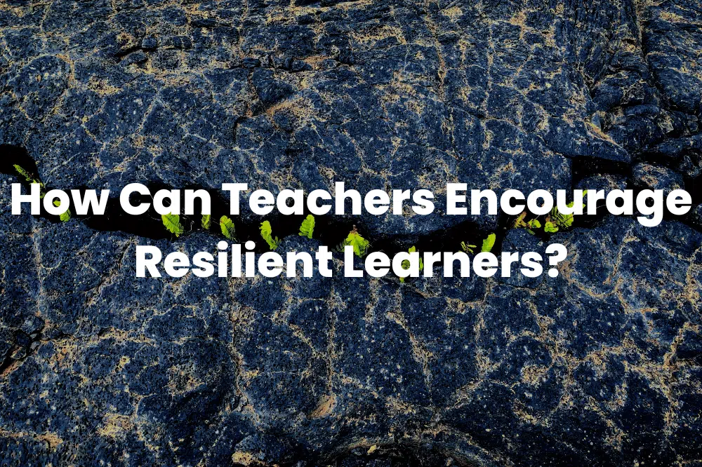 resilient learners