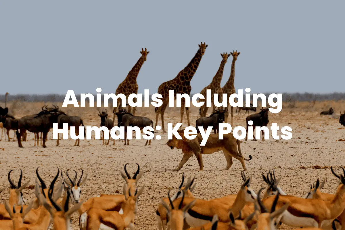 Animals Including Humans: Key Points - The Teaching Couple