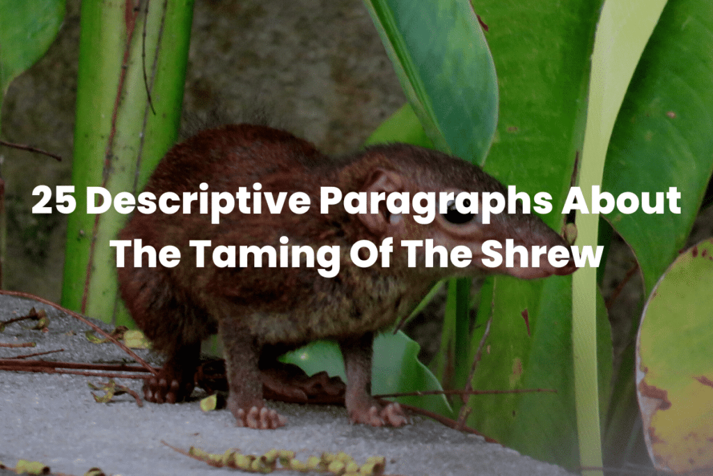 25 Descriptive Paragraphs About The Taming Of The Shrew - The Teaching ...