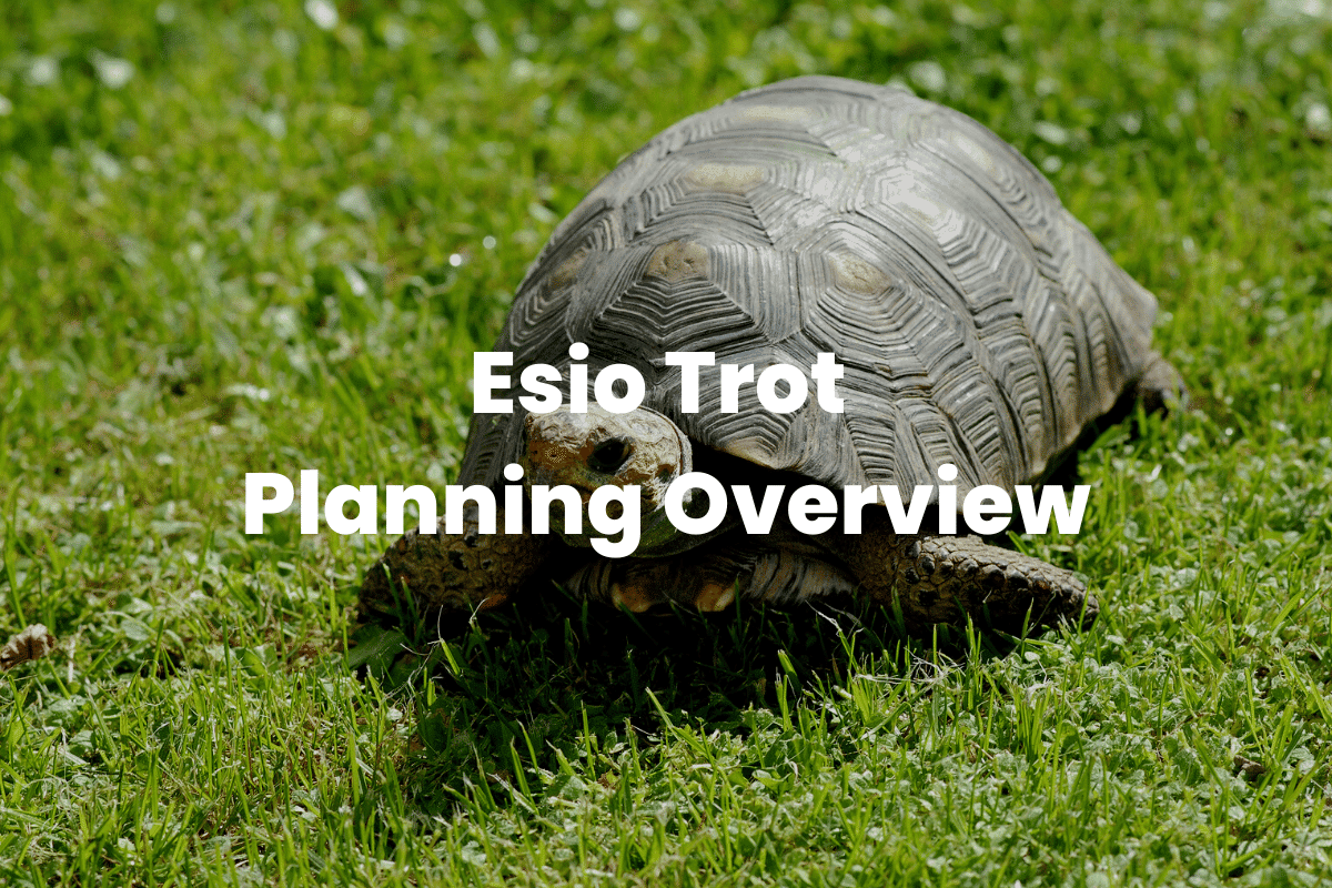 Esio Trot - Planning Overview