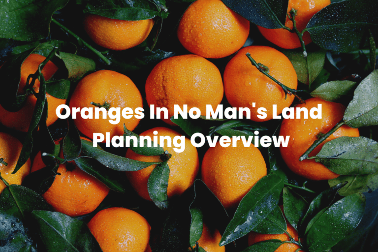 Oranges In No Man's Land Planning Overview The Teaching Couple
