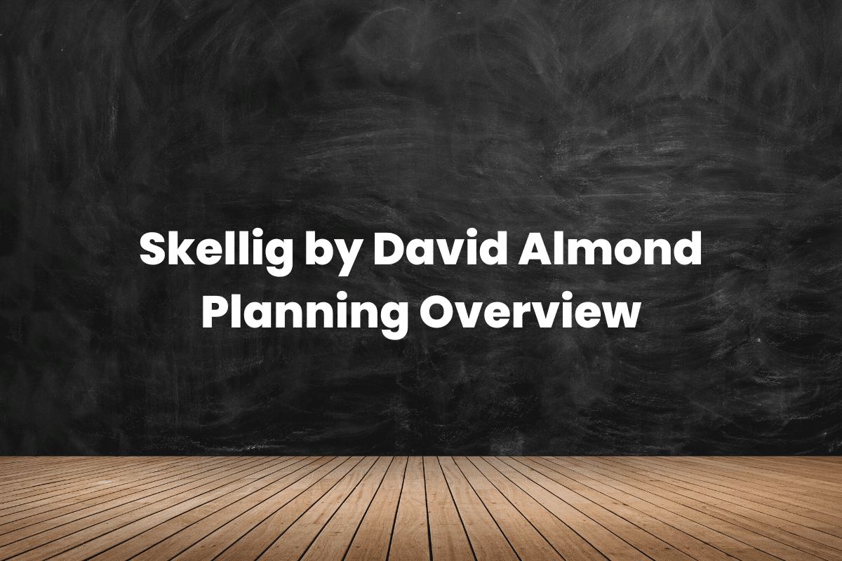 Skellig by David Almond