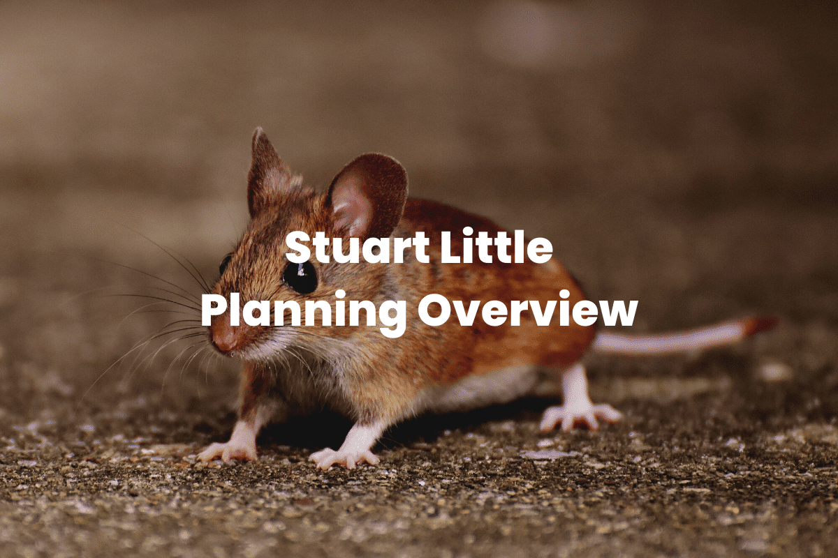 Stuart Little - Planning Overview