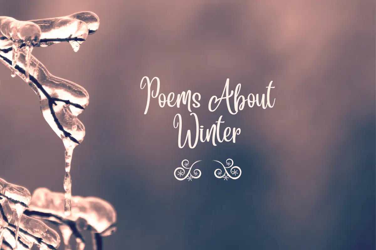 50 Poems About Winter - The Teaching Couple