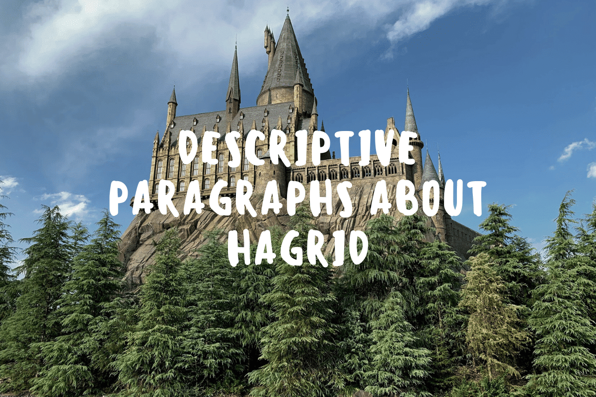 Descriptive Paragraphs About Hagrid