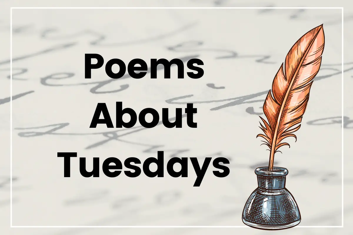 Poems About Tuesdays