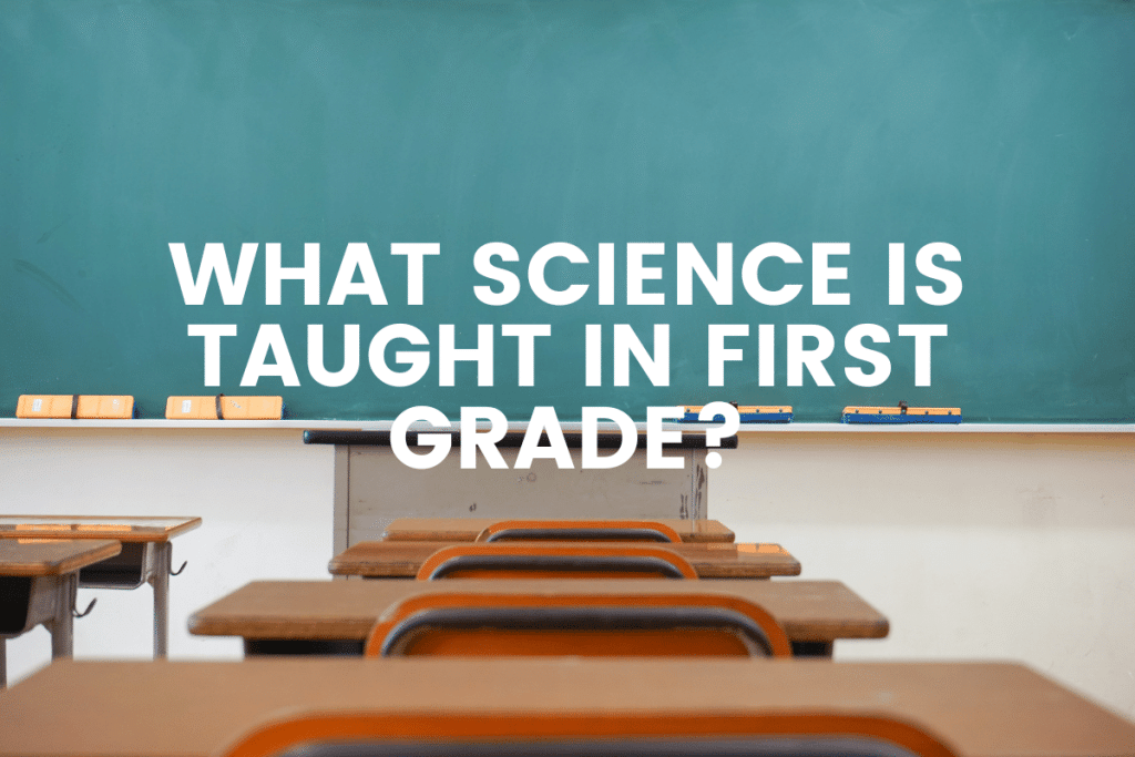 What Science Is Taught In First Grade? The Teaching Couple