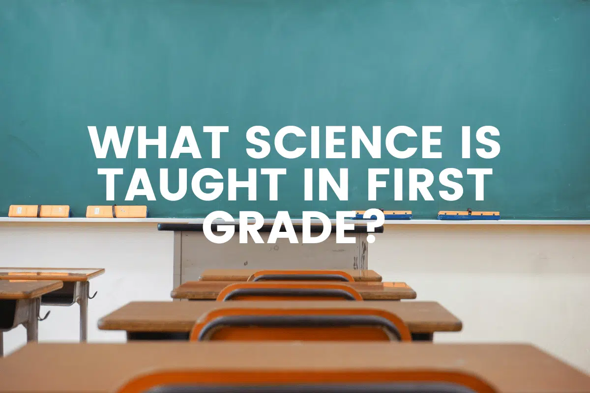What Science Is Taught In First Grade?