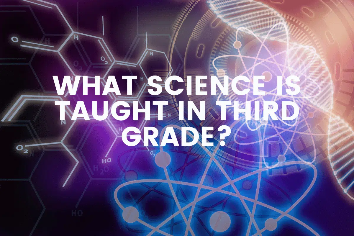 What Science Is Taught In Third Grade?