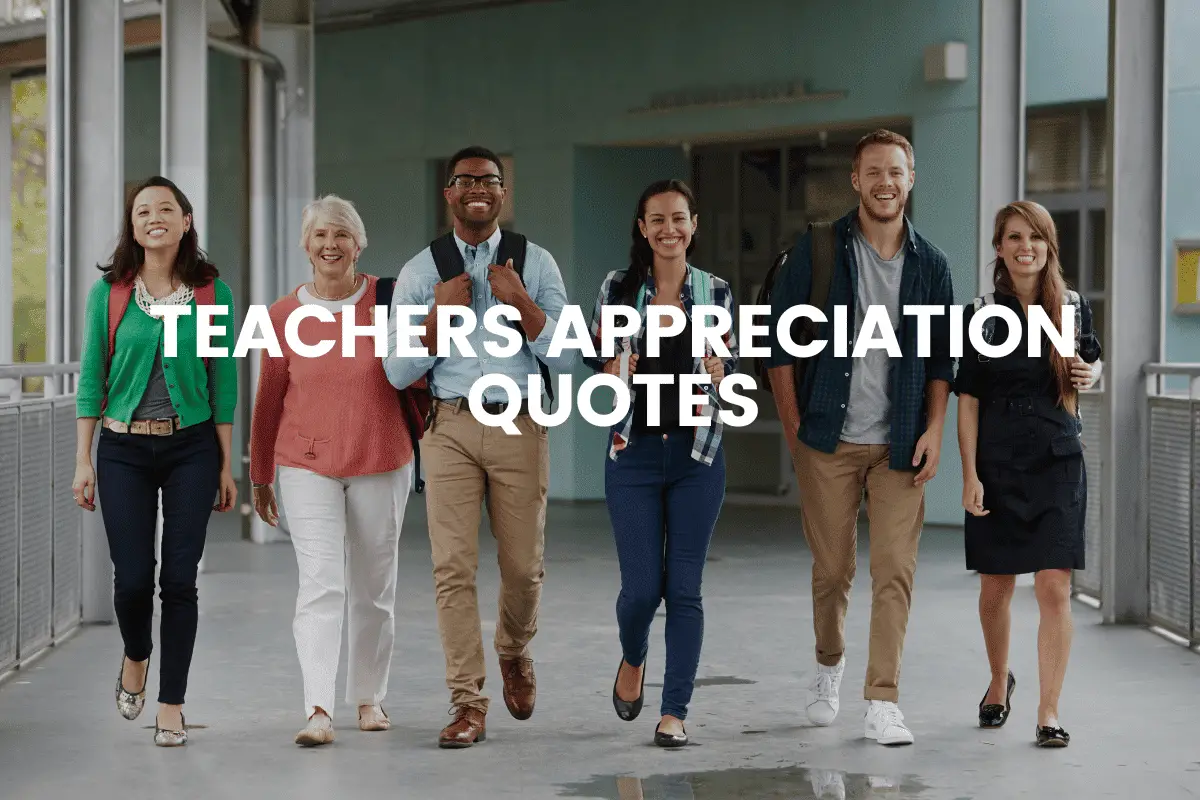 Teachers Appreciation Quotes