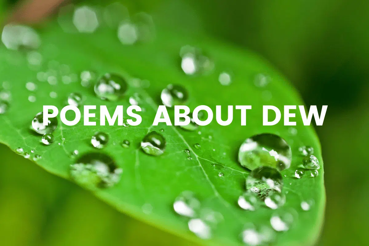 Poems About Dew
