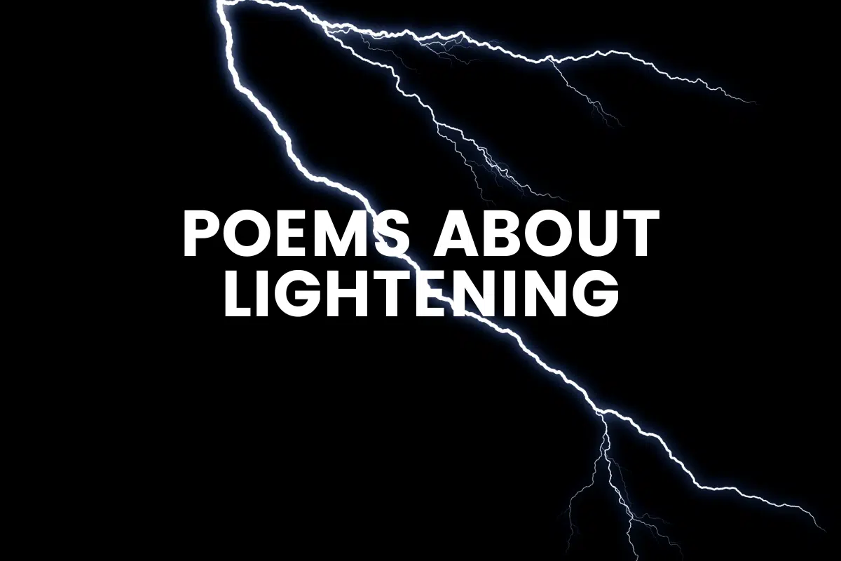 30 Poems About Lightening The