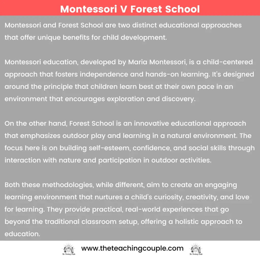 Montessori V Forest School