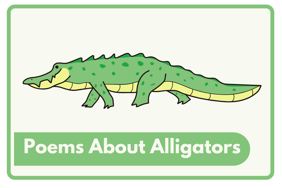 35 Poems About Alligators - The Teaching Couple