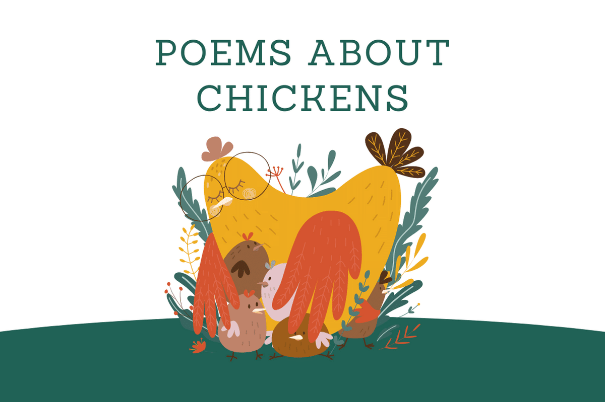 Poems About Chickens
