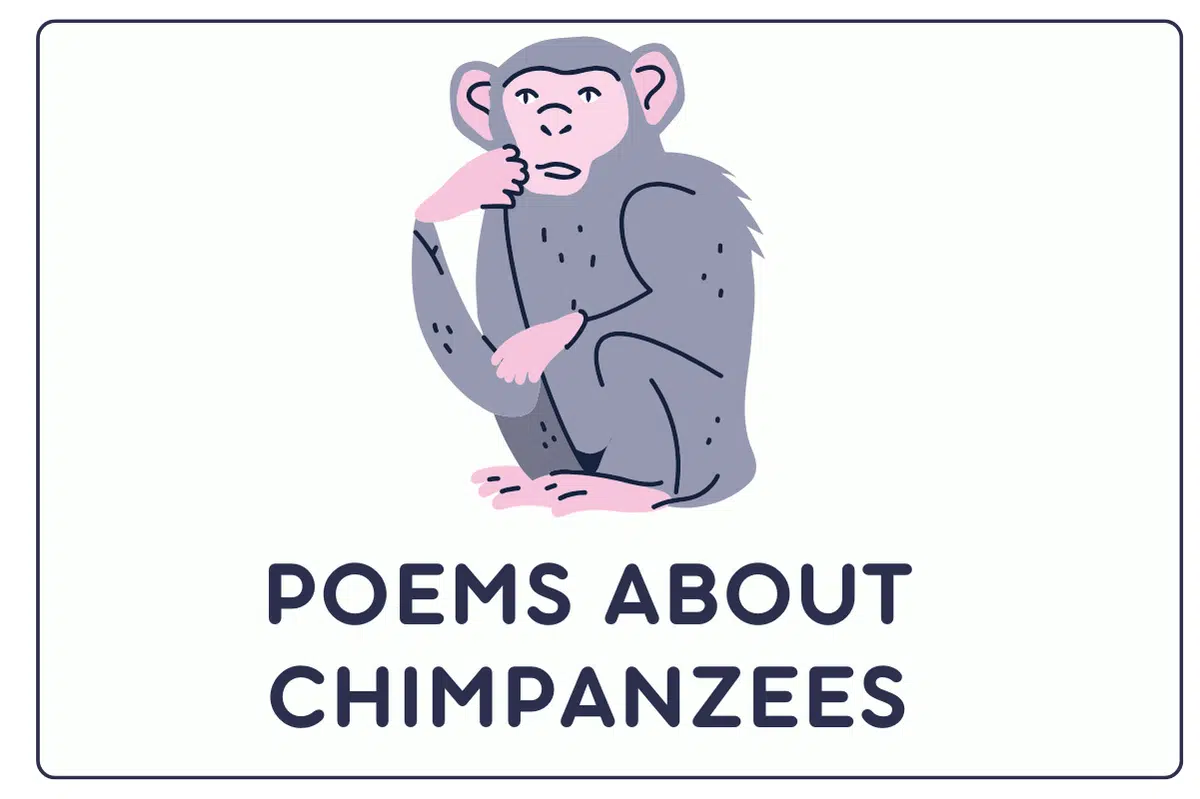 Poems About Chimpanzees