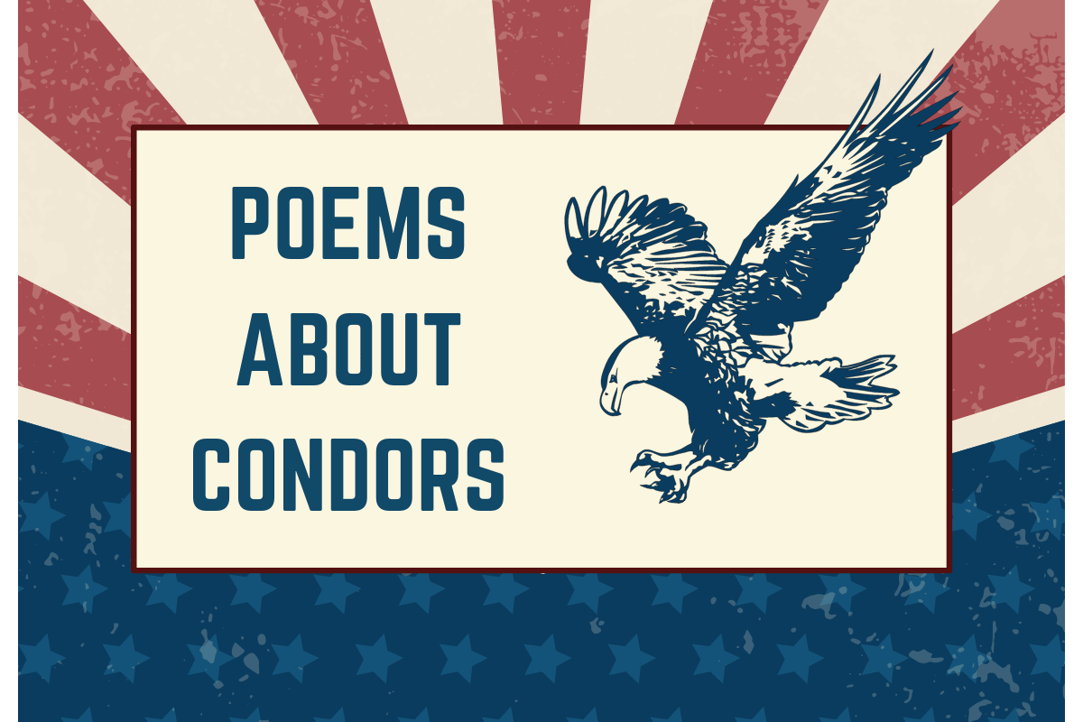 Poems About Condors