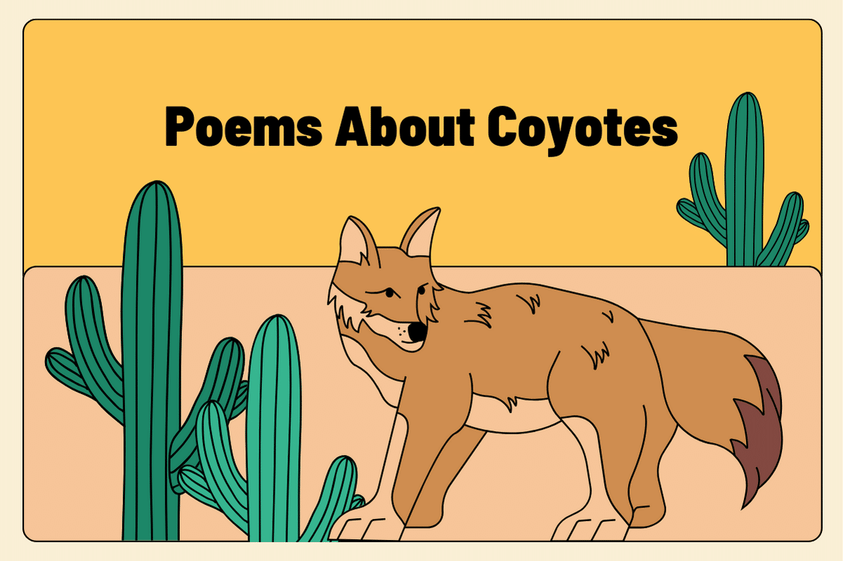Poems About Coyotes