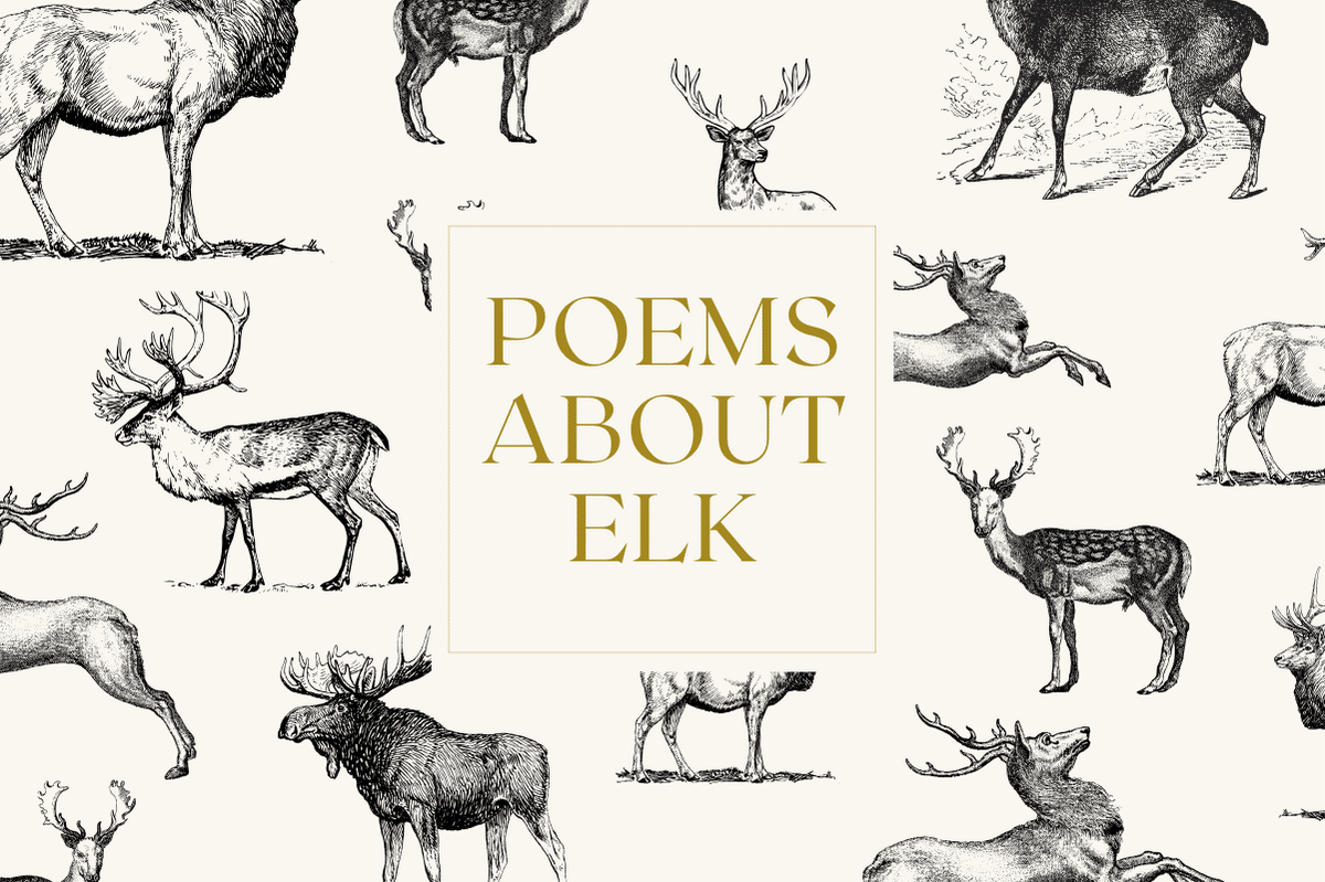 Poems About Elk