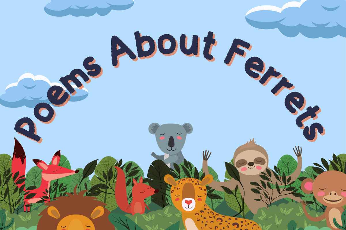 Poems About Ferrets