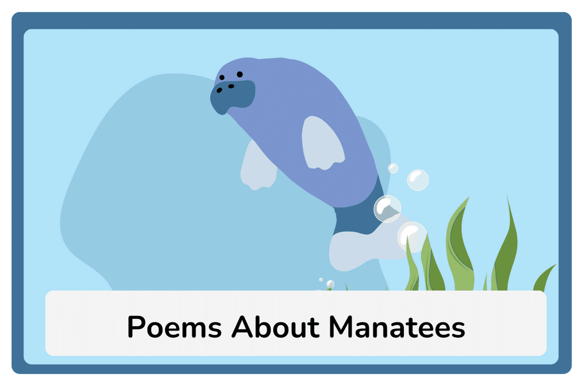 Poems About Manatees