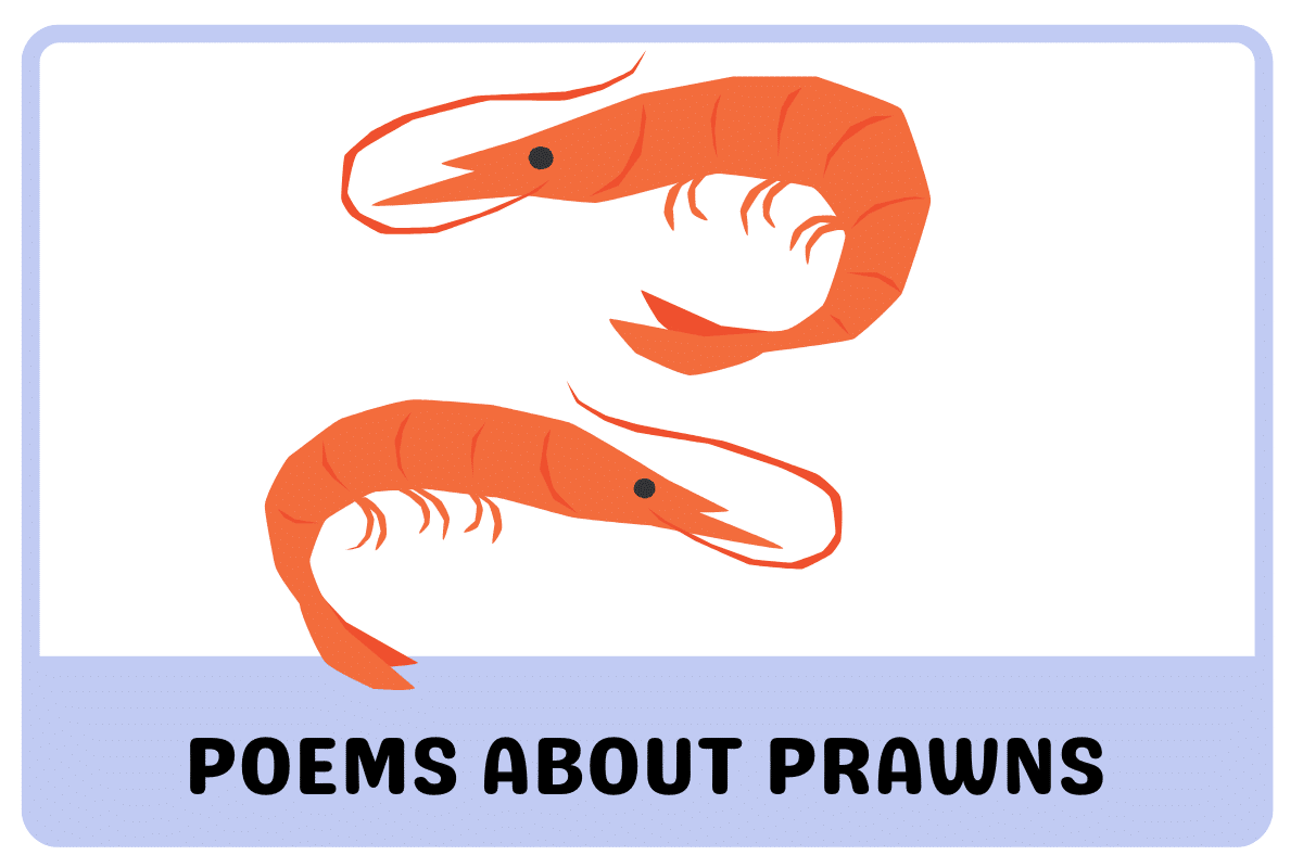 Poems About Prawns