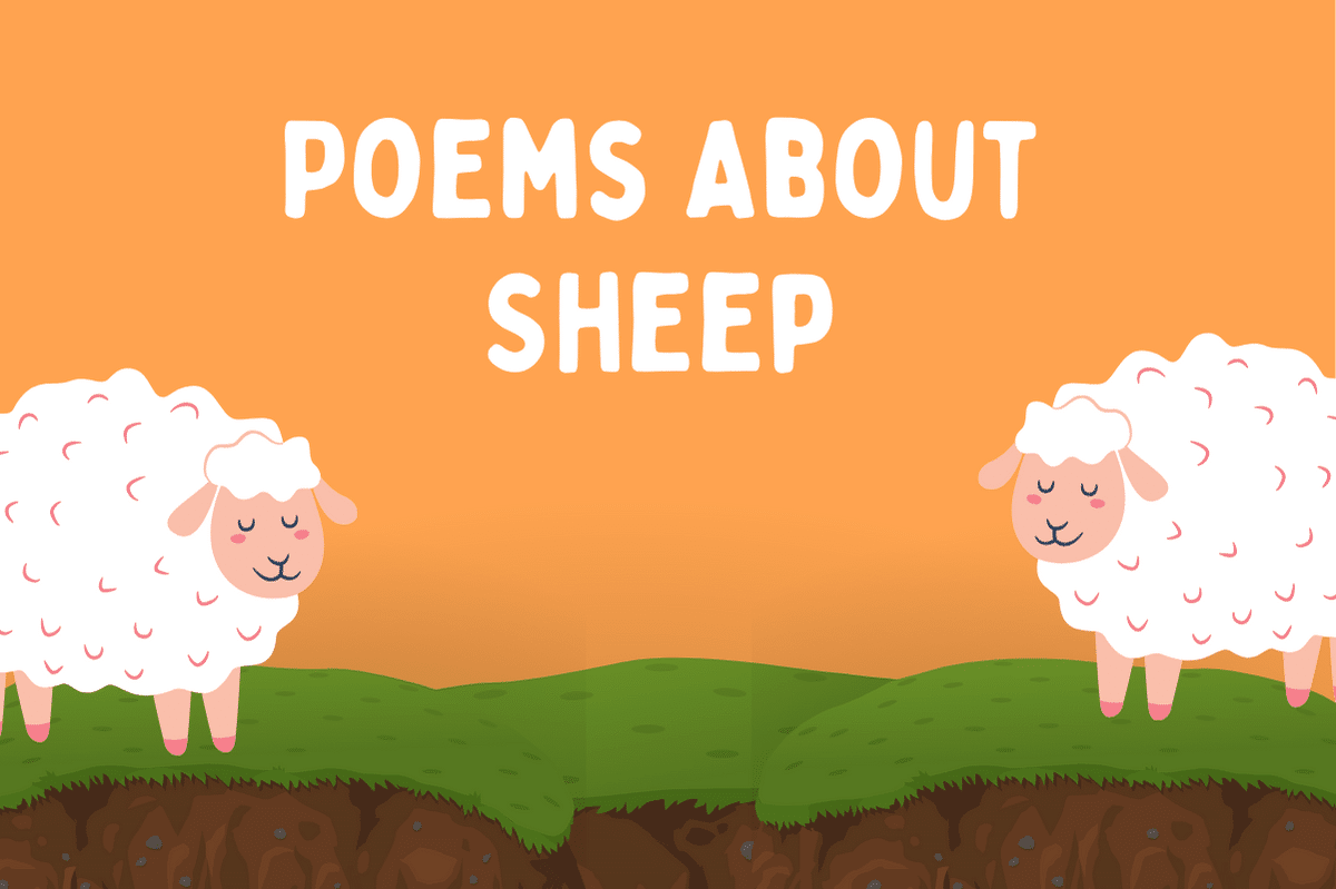 Poems About Sheep