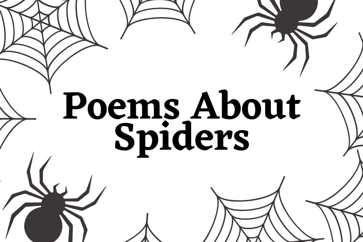 Poems About Spiders